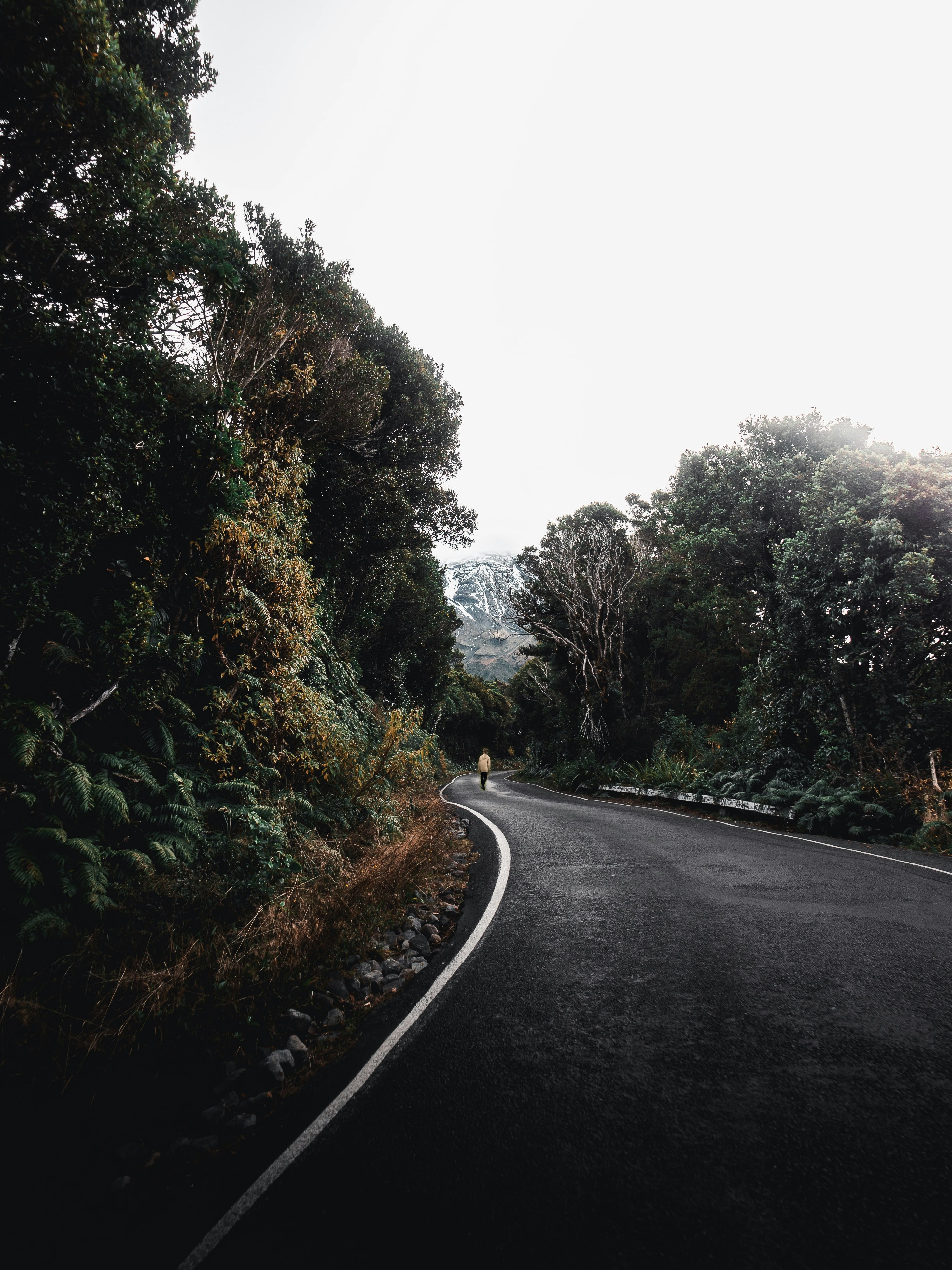 gray concrete road between green trees during daytime